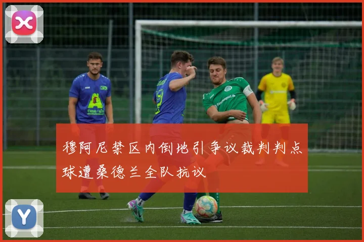 穆阿尼禁区内倒地引争议裁判判点球遭桑德兰全队抗议