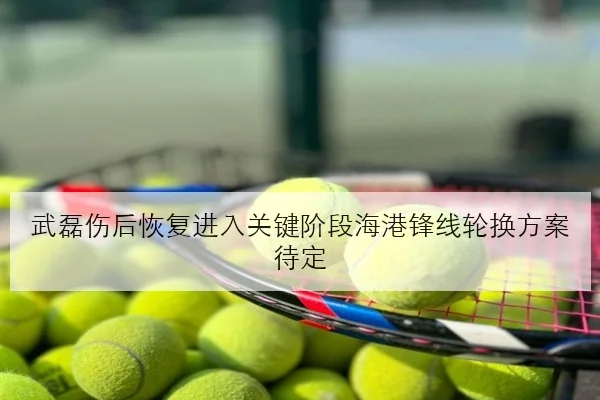 武磊伤后恢复进入关键阶段海港锋线轮换方案待定